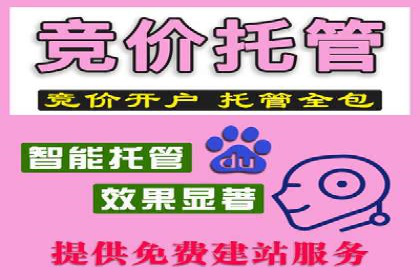 SEM竞价代运营案例：提升广告效果的关键策略